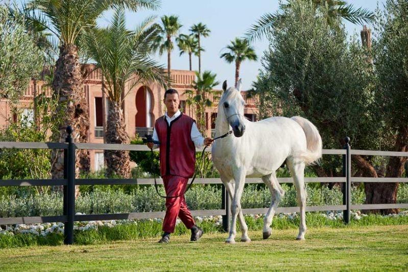Selman Marrakech Hotel El Makina Facilities photo